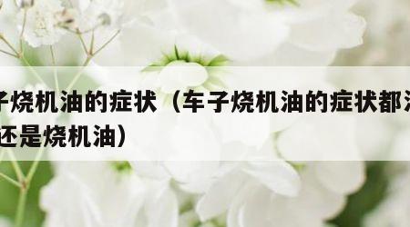 车子烧机油的症状（车子烧机油的症状都没有,但还是烧机油）