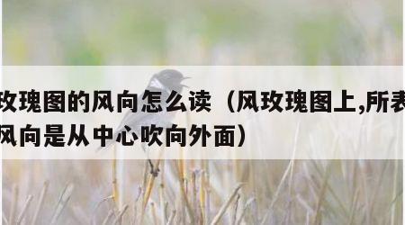 风玫瑰图的风向怎么读（风玫瑰图上,所表示的风向是从中心吹向外面）
