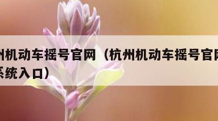 杭州机动车摇号官网（杭州机动车摇号官网查询系统入口）