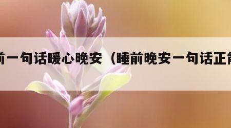 睡前一句话暖心晚安（睡前晚安一句话正能量）