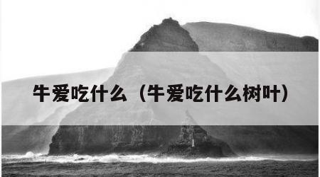 牛爱吃什么（牛爱吃什么树叶）
