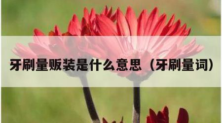 牙刷量贩装是什么意思（牙刷量词）