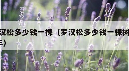 罗汉松多少钱一棵（罗汉松多少钱一棵树100年）