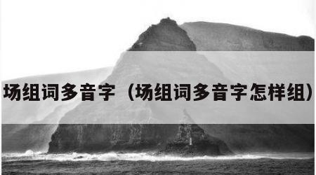 场组词多音字（场组词多音字怎样组）