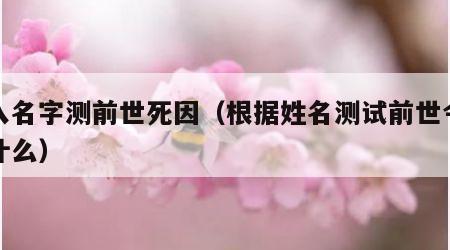 输入名字测前世死因（根据姓名测试前世今生是什么）