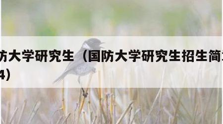 国防大学研究生（国防大学研究生招生简章2024）