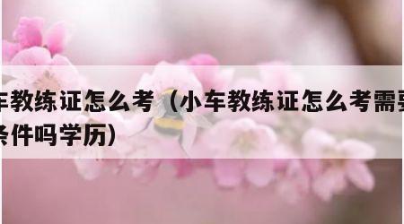 小车教练证怎么考（小车教练证怎么考需要什么条件吗学历）