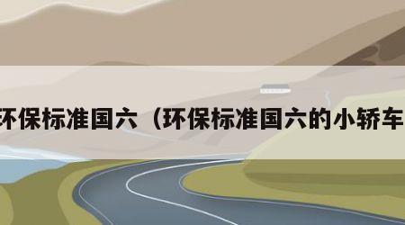 环保标准国六（环保标准国六的小轿车）