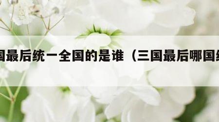 三国最后统一全国的是谁（三国最后哪国统一）