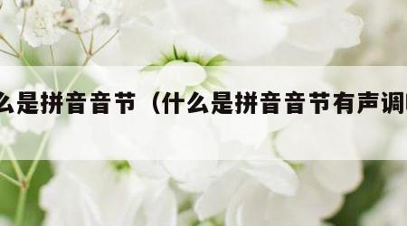 什么是拼音音节（什么是拼音音节有声调吗?）