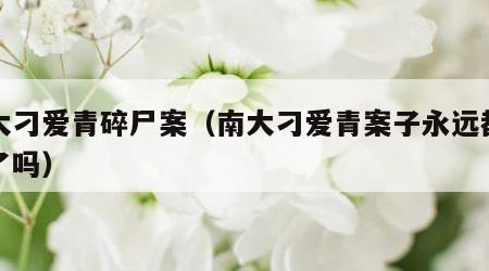 南大刁爱青碎尸案（南大刁爱青案子永远都破不了吗）