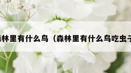 森林里有什么鸟（森林里有什么鸟吃虫子）