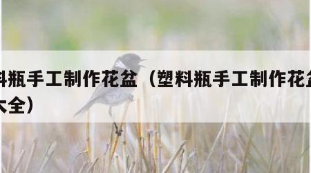 塑料瓶手工制作花盆（塑料瓶手工制作花盆简单大全）