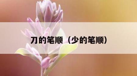 刀的笔顺（少的笔顺）