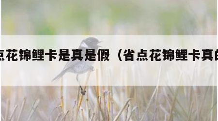 省点花锦鲤卡是真是假（省点花锦鲤卡真的假的）
