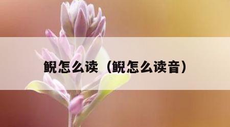 鲵怎么读（鲵怎么读音）