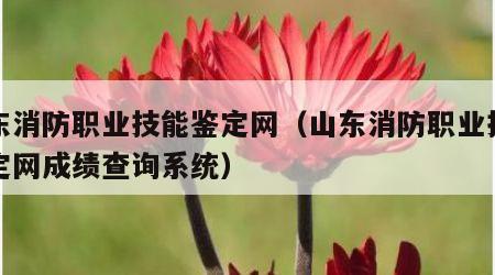 山东消防职业技能鉴定网（山东消防职业技能鉴定网成绩查询系统）