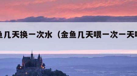 金鱼几天换一次水（金鱼几天喂一次一天喂几粒）