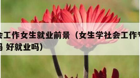 社会工作女生就业前景（女生学社会工作专业好吗 好就业吗）