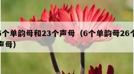 6个单韵母和23个声母（6个单韵母26个声母）
