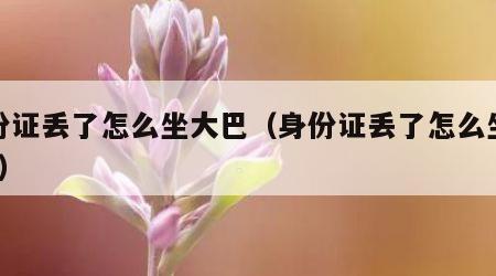身份证丢了怎么坐大巴（身份证丢了怎么坐大巴?）