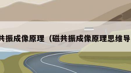 磁共振成像原理（磁共振成像原理思维导图）