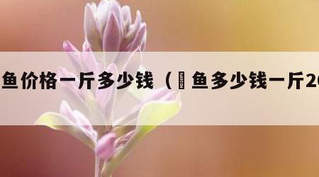 鮰鱼价格一斤多少钱（鳡鱼多少钱一斤2021）