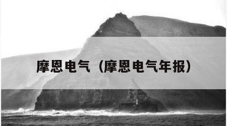 摩恩电气（摩恩电气年报）