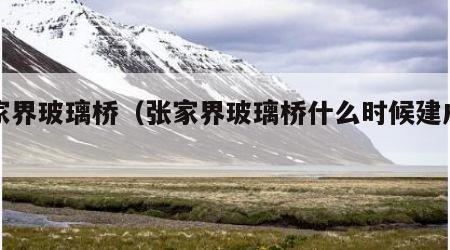 张家界玻璃桥（张家界玻璃桥什么时候建成的）