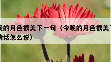 今晚的月色很美下一句（今晚的月色很美下一句情话怎么说）