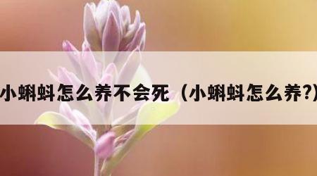 小蝌蚪怎么养不会死（小蝌蚪怎么养?）