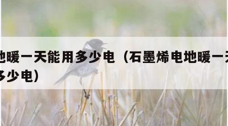 电地暖一天能用多少电（石墨烯电地暖一天能用多少电）