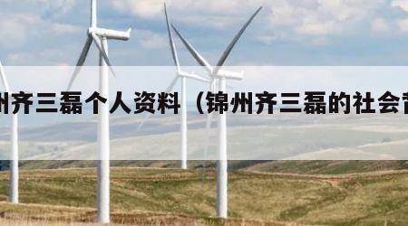 锦州齐三磊个人资料（锦州齐三磊的社会背景）