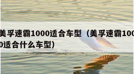 美孚速霸1000适合车型（美孚速霸1000适合什么车型）