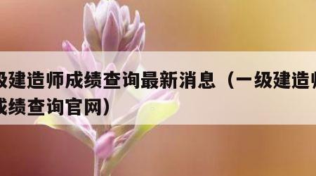 一级建造师成绩查询最新消息（一级建造师考试成绩查询官网）