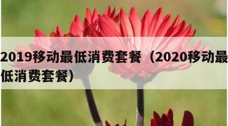 2019移动最低消费套餐（2020移动最低消费套餐）