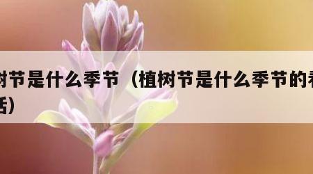 植树节是什么季节（植树节是什么季节的看图写话）