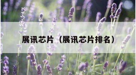 展讯芯片（展讯芯片排名）