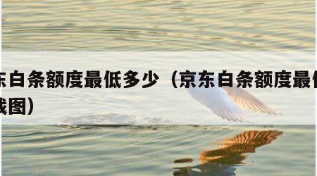 京东白条额度最低多少（京东白条额度最低多少截图）