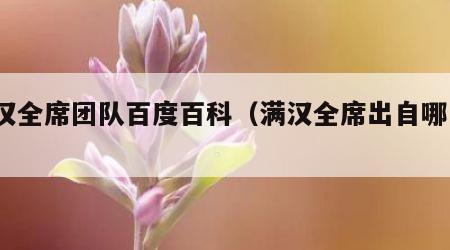 满汉全席团队百度百科（满汉全席出自哪里?）