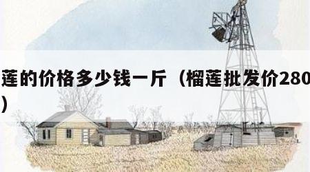 榴莲的价格多少钱一斤（榴莲批发价280一箱）