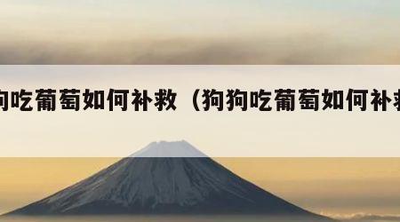 狗狗吃葡萄如何补救（狗狗吃葡萄如何补救一颗）