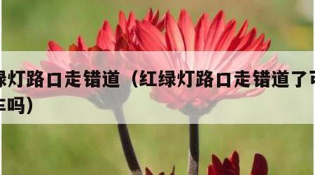 红绿灯路口走错道（红绿灯路口走错道了可以倒车吗）