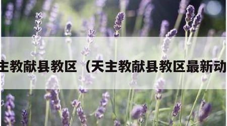 天主教献县教区（天主教献县教区最新动态）