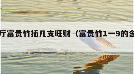 客厅富贵竹插几支旺财（富贵竹1一9的含义）