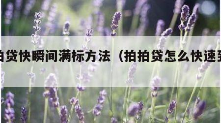 拍拍贷快瞬间满标方法（拍拍贷怎么快速到账）