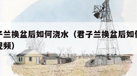 君子兰换盆后如何浇水（君子兰换盆后如何浇水视频）
