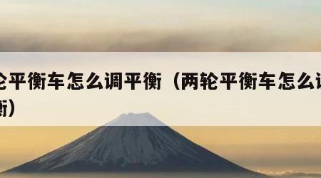 两轮平衡车怎么调平衡（两轮平衡车怎么调整平衡）