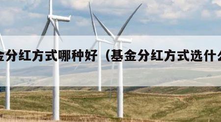 基金分红方式哪种好（基金分红方式选什么好）