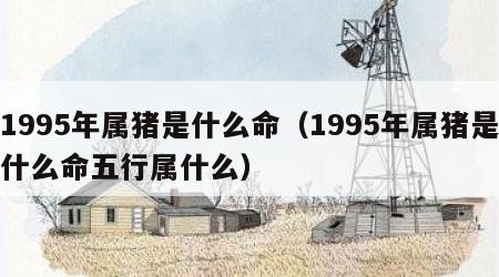 1995年属猪是什么命（1995年属猪是什么命五行属什么）
